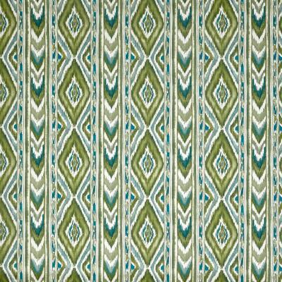 Sekani cactus Combineert duurzaamheid met stijl